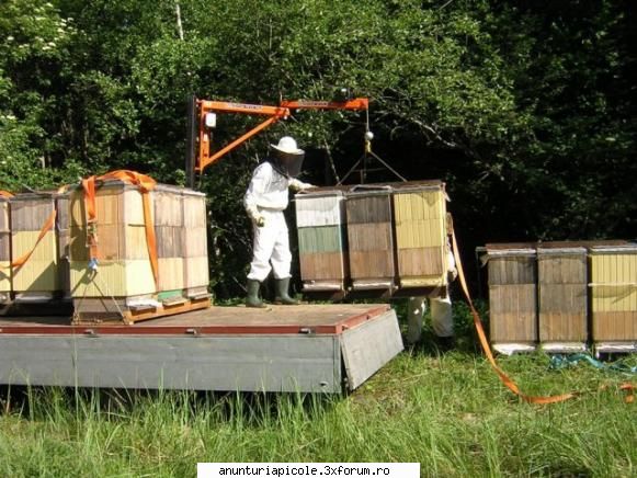 Macarale usoare pentru apicultura stupi butoaie pastoral - Apesi pe buton si gat - VANZARI ECHIPAMENTE APICOLE