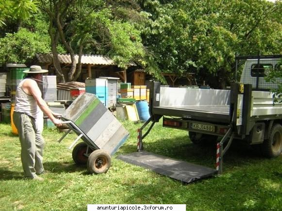 Macarale usoare pentru apicultura stupi butoaie pastoral - Dar si asa scapi de d - VANZARI ECHIPAMENTE APICOLE