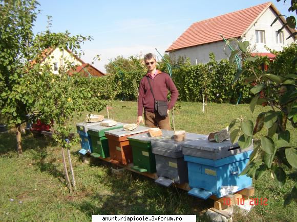 Miere poliflora - Timisoara - Sunt din Timisoara si vand miere poliflora, la - VANZARI PRODUSE APICOLE