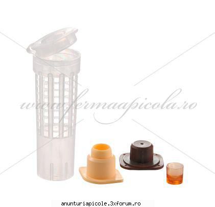 Oferta - ECHIPAMENTE APICOLE - Set crestere a matcilor prin transvazare (4 - VANZARI ECHIPAMENTE APICOLE
