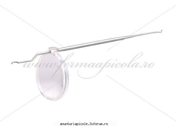 Oferta - ECHIPAMENTE APICOLE - Lanteta INOX cu lupa sau fara - VANZARI ECHIPAMENTE APICOLE