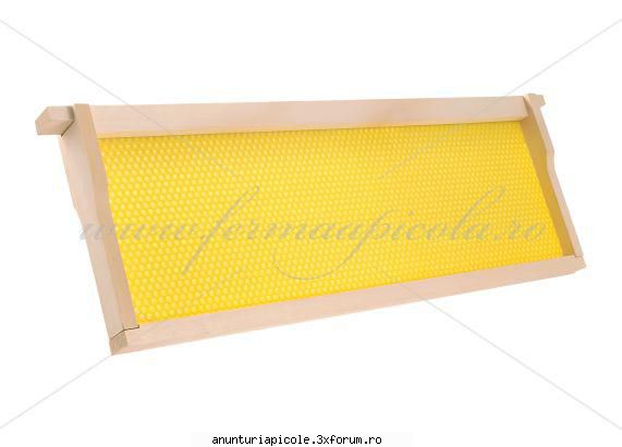 Oferta - ECHIPAMENTE APICOLE - Fagure plastic 1/2 - VANZARI ECHIPAMENTE APICOLE