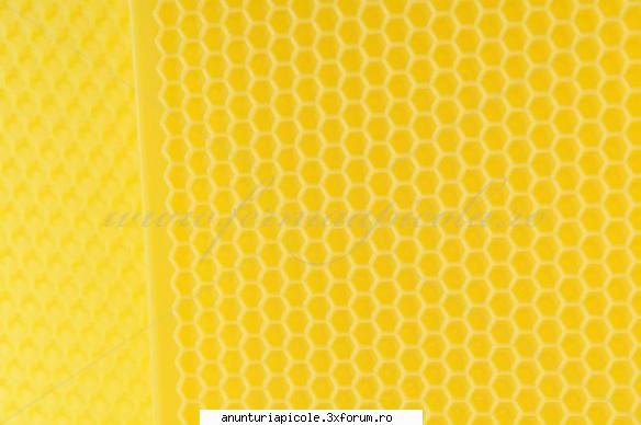 Oferta - ECHIPAMENTE APICOLE - Detaliu faguri din plastic - VANZARI ECHIPAMENTE APICOLE