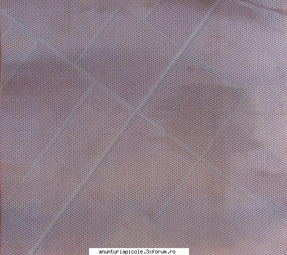Oferta PLASA ANTIVARROA - Fotografie plasa zincata - VANZARI ECHIPAMENTE APICOLE