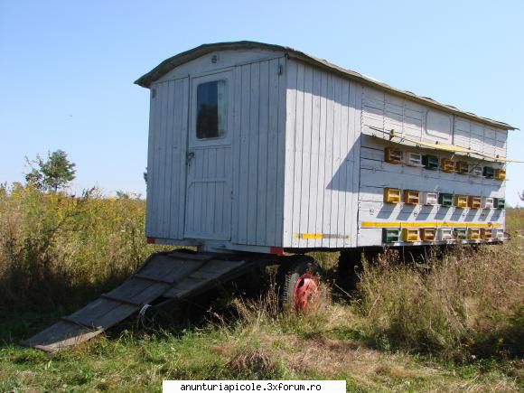 Pavilion Apicol - Vand pavilion apicol inmatriculat, capacitate 48 - VANZARI - CUMPARARI AUTO