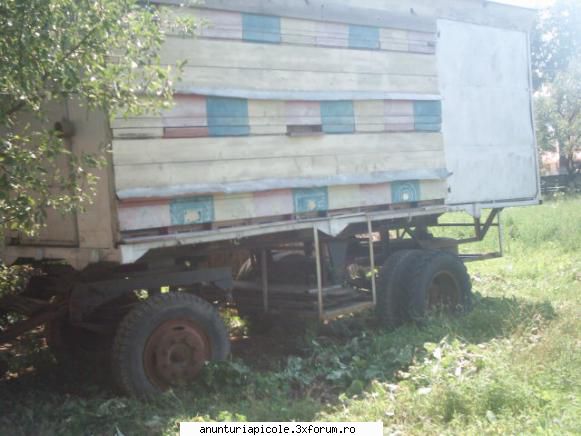 Pavilion apicol - lazi d/s pe 10 rame jos. fund detasabil .in fata - VANZARI ECHIPAMENTE APICOLE