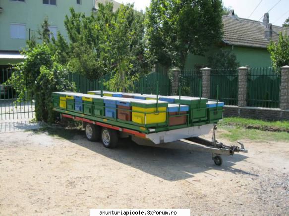 Platforma apicola cu paleta detasabila - Lili Zlate - VANZARI - CUMPARARI AUTO