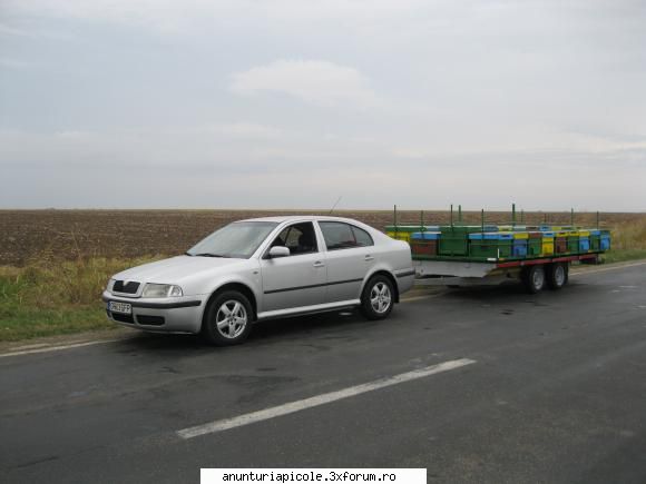 Platforma apicola cu paleta detasabila - Lili Zlate - VANZARI - CUMPARARI AUTO