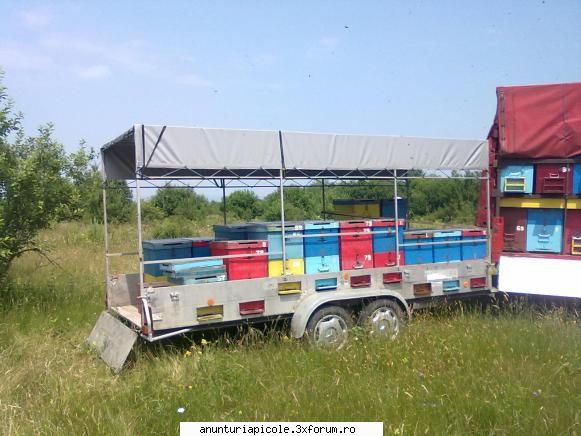 Remorca 2 axe tandem, 2 t - Remorca D Rema, lungime totala 6 metri, cu - VANZARI - CUMPARARI AUTO