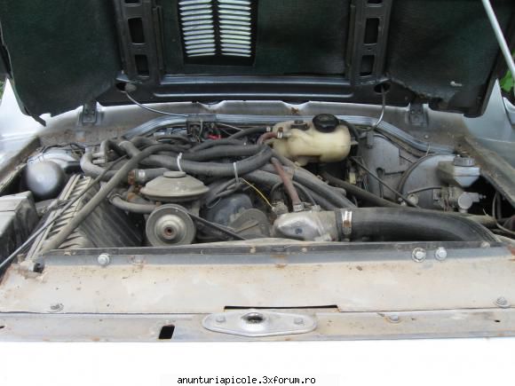Schimb aro 4x4 cu familii de albine - popivl1 - VANZARI - CUMPARARI AUTO