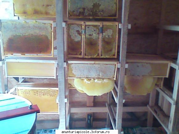 Schimb rame 1/1 - Eu am cca 100 buc de 1/2 crescute, le-am folosit - SCHIMBURI DIVERSE