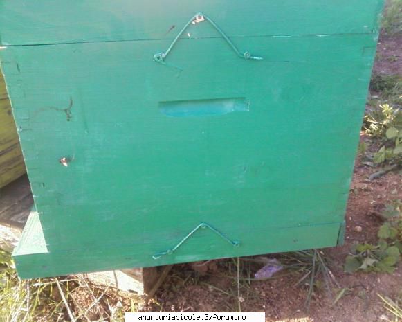 Scule si utilaje apicole SC. APISAN. SRL - In foto prinde fundul de corp dar la - VANZARI ECHIPAMENTE APICOLE