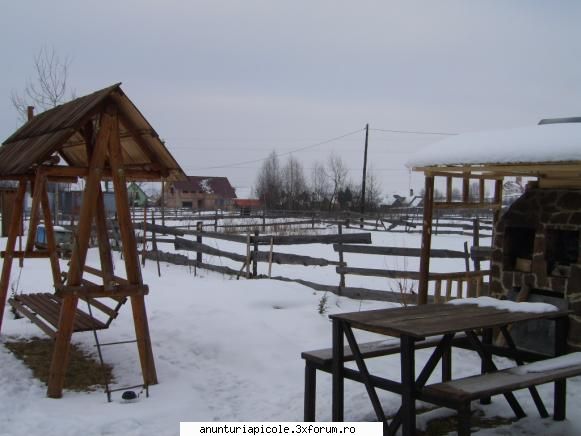 Stup nou la 60 lei - Oare mai vine primăvara, că acum la - ANUNTURI CARE NU RESPECTA REGULAMENTUL