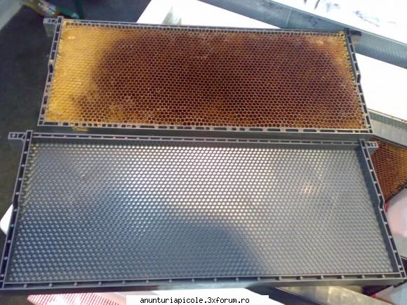 Stup nou la 60 lei - Rama de 180 mm inaltime ... DE PLASTIC - ANUNTURI CARE NU RESPECTA REGULAMENTUL