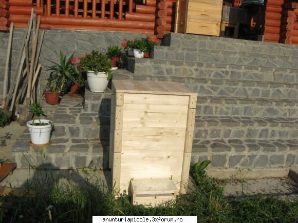 Stup nou la 60 lei - cu cilector tip Combra - ANUNTURI CARE NU RESPECTA REGULAMENTUL