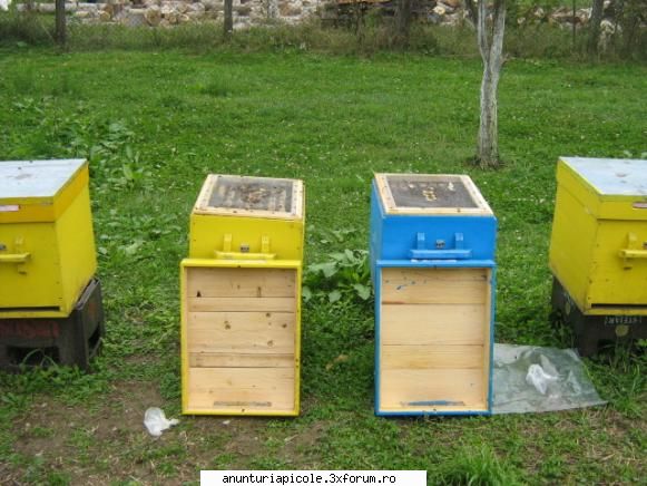 Stup nou la 60 lei - colegu mar interesa la ce pret vindeti stup - ANUNTURI CARE NU RESPECTA REGULAMENTUL