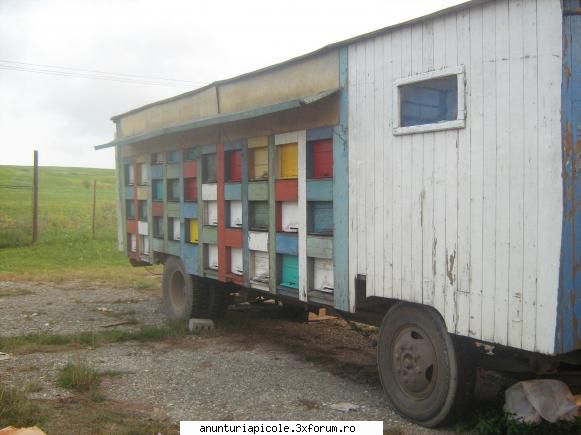 VAND Pavilion apicol - Vand pavilion apicol,cu 60 stupi orizontali pe 19 - VANZARI ECHIPAMENTE APICOLE
