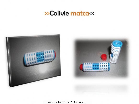 VAND colivii matca ... - Ofer spre vanzare colivii pentru matci - VANZARI ECHIPAMENTE APICOLE