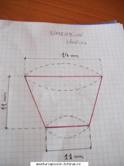 VAND colivii matca ... - Dimensiuni capacel.. :D - VANZARI ECHIPAMENTE APICOLE