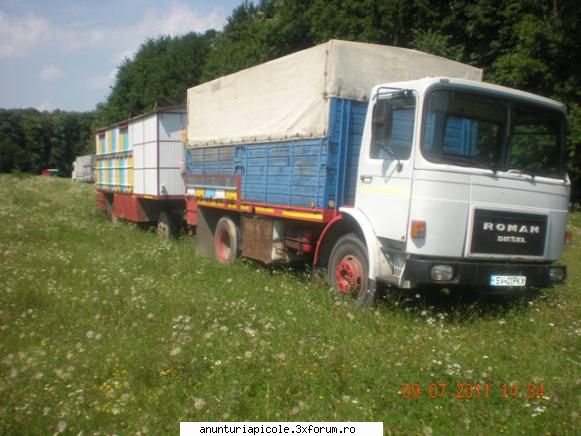 V�nd autoutilitară Roman 8125 + remorcă apicolă ! - danny91sv - VANZARI - CUMPARARI AUTO
