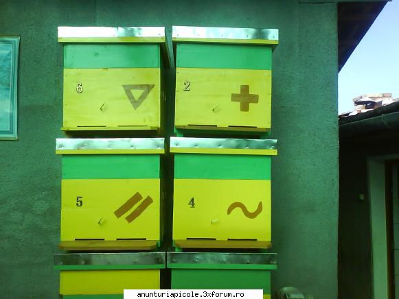 V�nd stupi Dadant 12 rame - apinicusor - VANZARI ECHIPAMENTE APICOLE