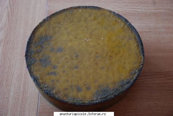 Vand 4-5 kg ceara albine - katilinus - VANZARI PRODUSE APICOLE