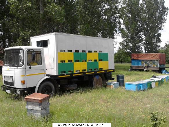 Vand Camion Saviem - duba izoterma; rafturi pentru stupi(42) Toma - VANZARI - CUMPARARI AUTO