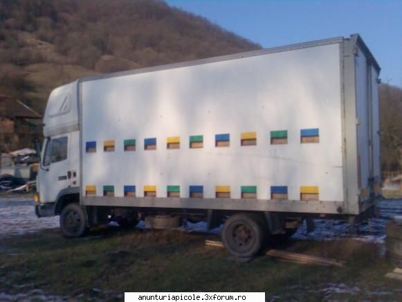 daf vand daf800