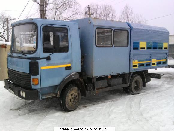 Vand FRUMOASA AMERICANA omologat apicol - Vand camion Frumoasa americana omologat - VANZARI - CUMPARARI AUTO