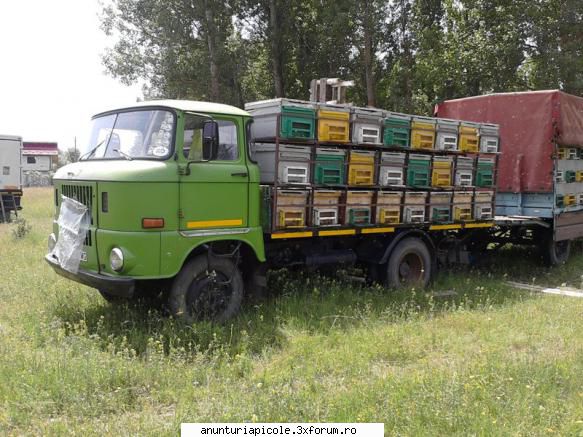 Vand IFA - oblon hidraulic; rafturi pentru stupi(48); cort - VANZARI - CUMPARARI AUTO