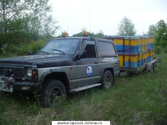 Vand Nissan Patrol Y-260 - poze din pastoral la Scarisoara si de la Sampetru - VANZARI - CUMPARARI AUTO