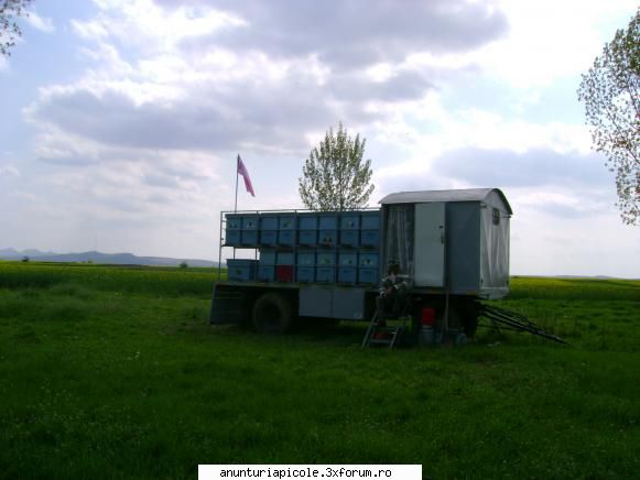 vand pavilion apicol fara lazi, in romania cu revizie tehnica pana in anul 2012. roti fata simple,