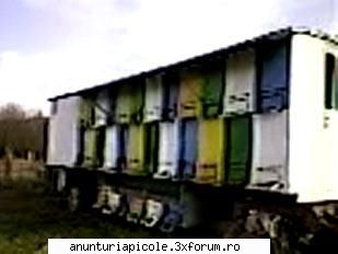 Vand Pavilion Apicol - HappyBeeLikeMee - VANZARI ECHIPAMENTE APICOLE