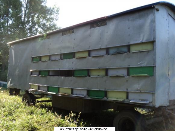 Vand Pavilion Apicol - Vand pavilion apicol, populat, inscris in - VANZARI - CUMPARARI AUTO