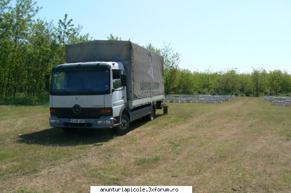 Vand camion 7,5 t Mercedes -atego 815 - Nu intrebati de stupii din fundal, s-au - VANZARI - CUMPARARI AUTO