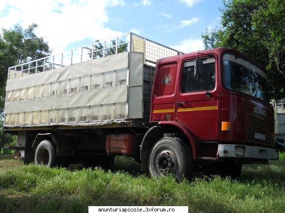 Vand camion Roman + remorca cu stelaj - MsAndreea - VANZARI - CUMPARARI AUTO