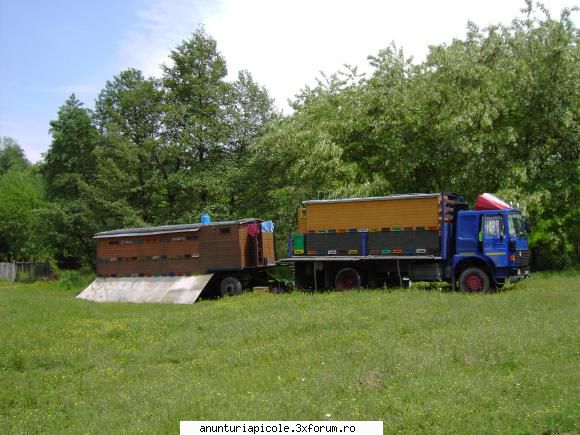 1.camion roman
 -container cu capacitate de 48 lazi,fara albine, 10+10 rame se poate pune pe 4