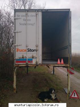 Vand containere BDF tego ! - dorel_v2002 - VANZARI - CUMPARARI AUTO