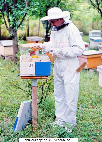 Vand echipament apicol la cele mai avantajoase preturi - Combinezon apicol - Bum - VANZARI ECHIPAMENTE APICOLE