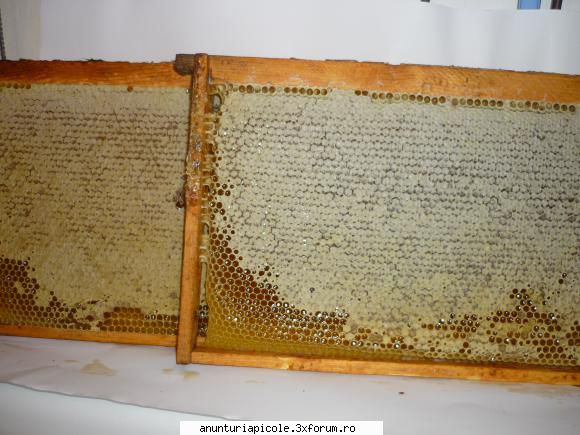 Vand miere in fagure - Mierea din fagure este de tei, smeura si flori de - VANZARI PRODUSE APICOLE