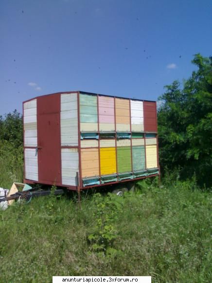 Vand minipavilion - Pavlic - VANZARI ECHIPAMENTE APICOLE