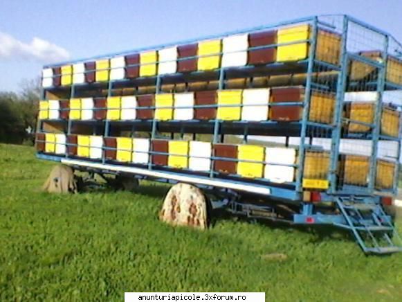pavilion echipat cu 90 de lazi orizontal pe 20 de rame fara jud. euro. vand pavilion!