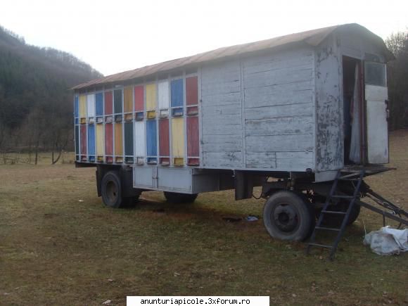 Vand pavilion - leodor - VANZARI - CUMPARARI AUTO