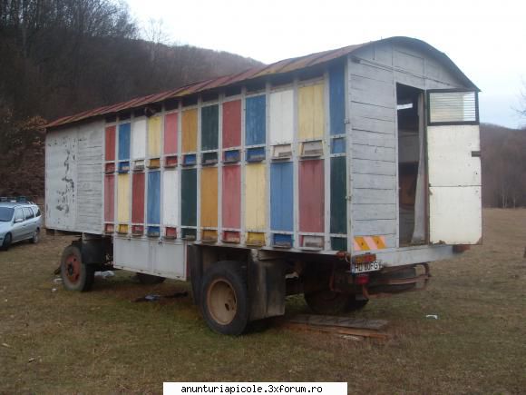 Vand pavilion - leodor - VANZARI - CUMPARARI AUTO