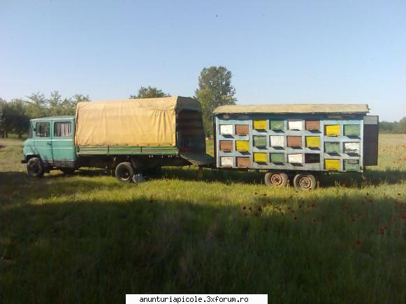 Vand pavilion apicol - pavilion + camion - VANZARI ECHIPAMENTE APICOLE