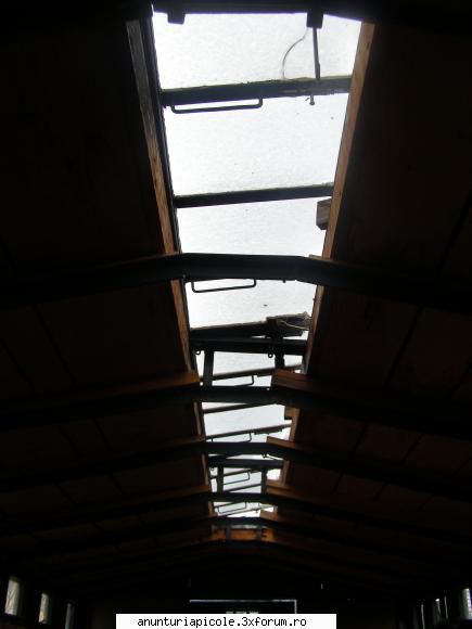 Vand pavilion apicol - ionica - VANZARI ECHIPAMENTE APICOLE
