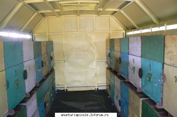 Vand pavilion apicol - unstupar - VANZARI - CUMPARARI AUTO