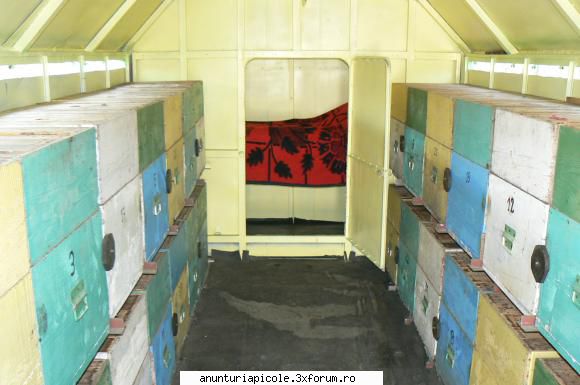 Vand pavilion apicol - unstupar - VANZARI - CUMPARARI AUTO