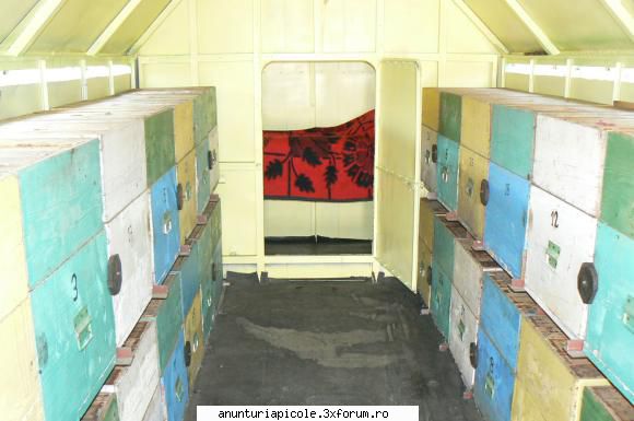 Vand pavilion apicol - In planul indepartat se vede cabina (patul este - VANZARI - CUMPARARI AUTO