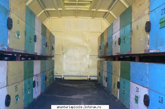 Vand pavilion apicol - unstupar - VANZARI - CUMPARARI AUTO